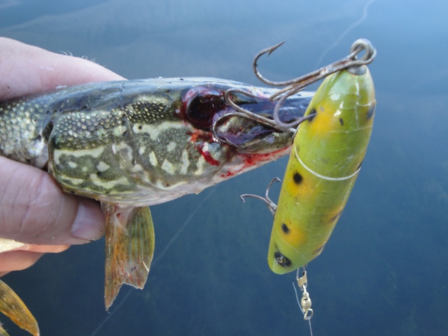 Sold at Auction: Antique 1930s South Bend Bass Oreno Fishing Lure