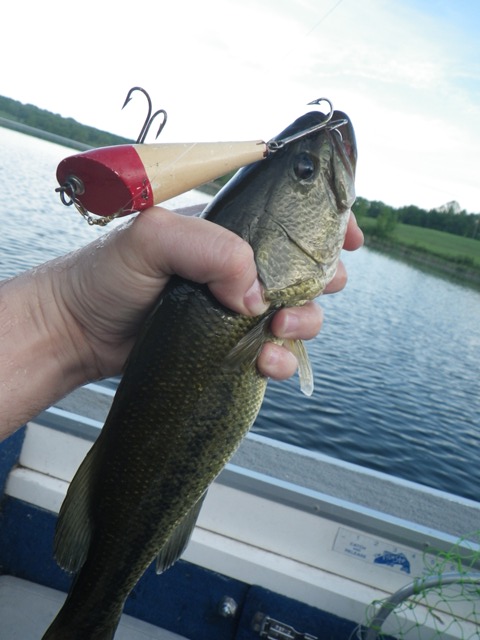 Still Catching Fish